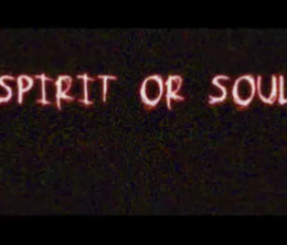 image-https://media.senscritique.com/media/000018905097/0/spirit_or_soul.png