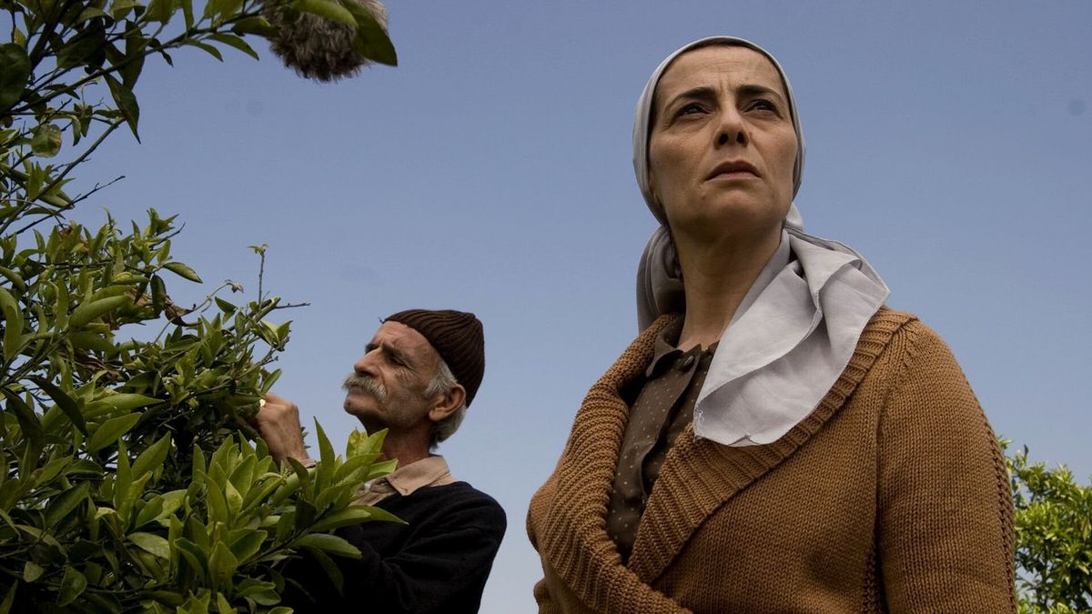 Les Citronniers Film Complet Les Citronniers - Film (2008) - SensCritique