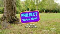 Project Birds Nest