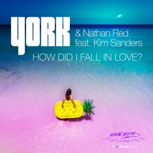 How Did I Fall In Love ? (Single)
