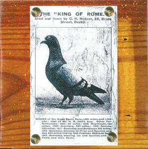 King of Rome - Songs of Dave Sudbury