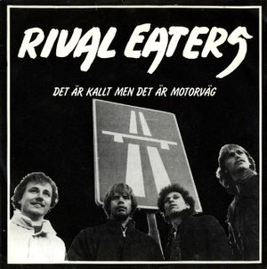 Det är kallt men det är motorväg (EP)