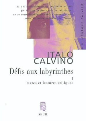 Défis aux labyrinthes, tome 1