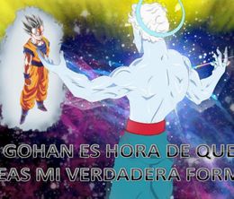 image-https://media.senscritique.com/media/000018944756/0/dragon_ball_x.jpg