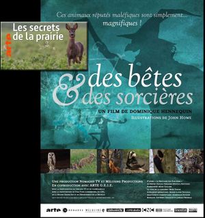 Des bêtes et des sorcières