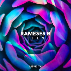 Falling (Rameses B remix)