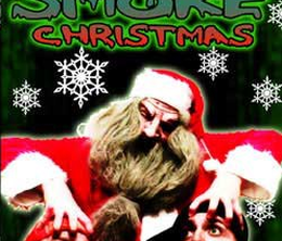 image-https://media.senscritique.com/media/000018954420/0/nixon_and_hogan_smoke_christmas.png