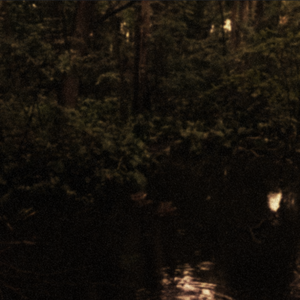 Night Rain (Single)