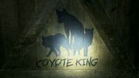 The Coyote King