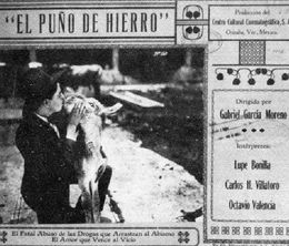 image-https://media.senscritique.com/media/000018975887/0/el_puno_de_hierro.jpg