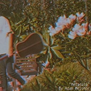 Metadata (Single)