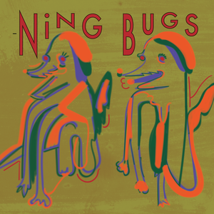 -Ning Bugs