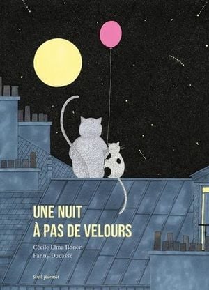 Une nuit à pas de velours