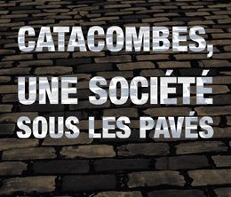 image-https://media.senscritique.com/media/000018990476/0/catacombes_une_societe_sous_les_paves.jpg