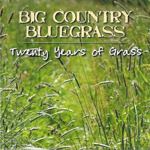 Twenty Years of Grass