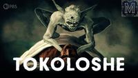 Blame the Tokoloshe! South Africa’s Most Notorious Goblin