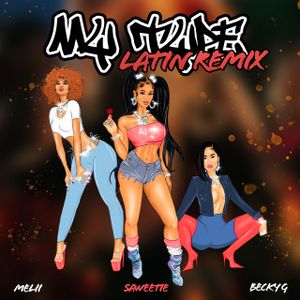 My Type (latin remix)