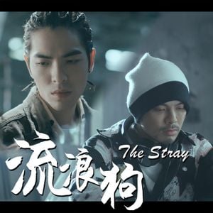 The Stray (Single)