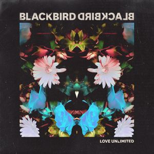 Love Unlimited (Single)