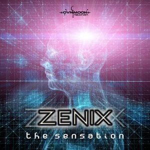 The Sensation (Single)