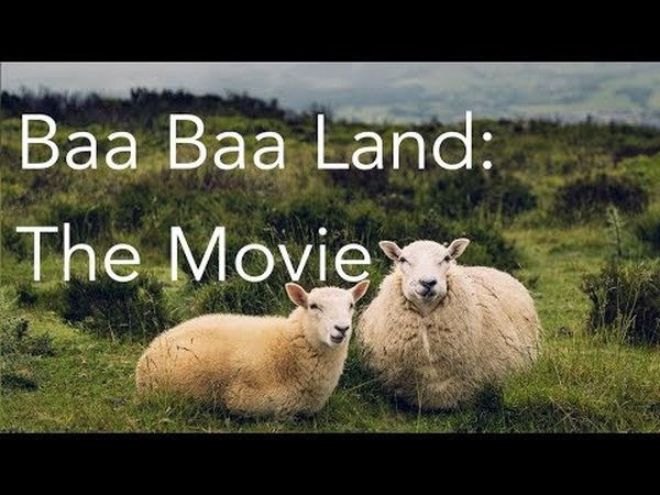 Baa Baa Land