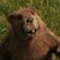 Avatar Mr_Beaver Avatar Mr_Beaver