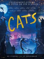 Affiche Cats Affiche Cats
