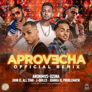 Aprovecha (remix)