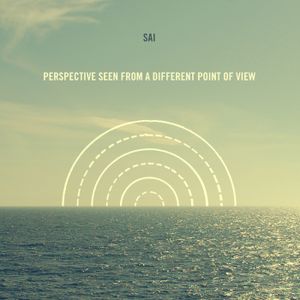 Perspective Seen From a Different Point of View