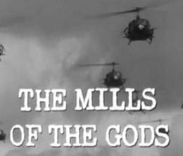 image-https://media.senscritique.com/media/000019031527/0/the_mills_of_the_gods_viet_nam.jpg