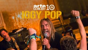 Iggy Pop au Arte Concert Festival