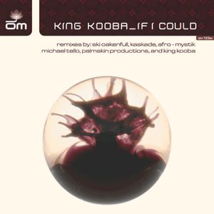 If I Could (Kooba's Brazilia Kabasa mix)