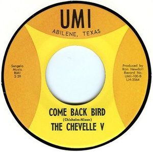I'm Sorry Girl / Come Back Bird (Single)