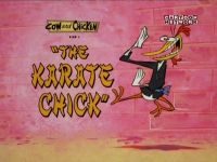 The Karate Chick