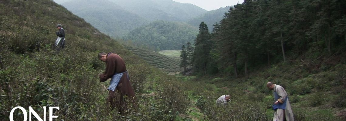 Cover One Mind, une vie zen