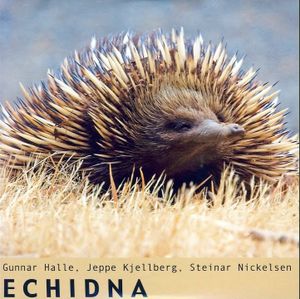 Echidna