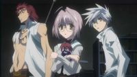 L'art du Shikai