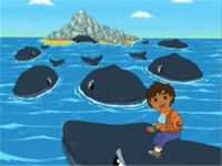 Diego sauve le bébé baleine