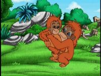 Diego et les orangs-outans