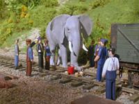 Henry & The Elephant