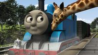 Thomas et la girafe