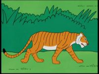 L'Inde - Le tigre