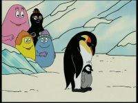 L'Antarctique - Les pingouins