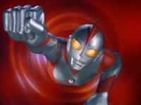 Let's Go! Stag Beetle Wintering Team