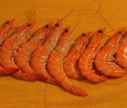 image-https://media.senscritique.com/media/000019054272/0/prawn_orgy.jpg