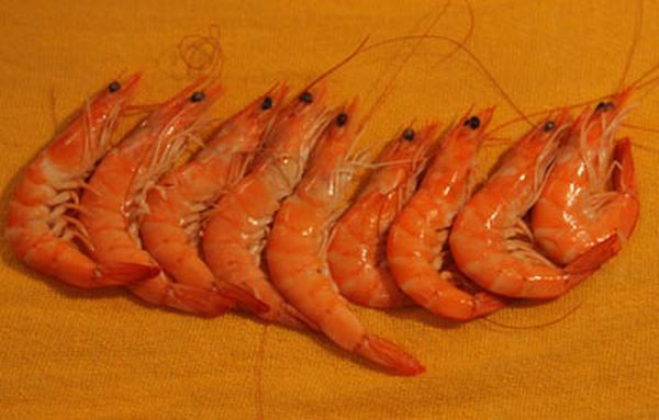 Prawn Orgy