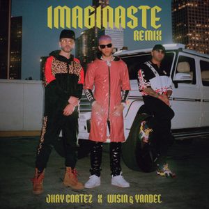 Imaginaste (remix)