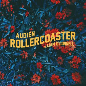 Rollercoaster (Single)