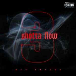 Shotta Flow 3