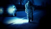 Bigfoot the Friendly Ghost